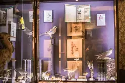 journées du patrimoine - atelier au musée