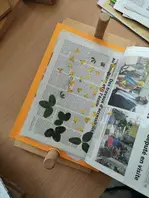 Comment faire son herbier