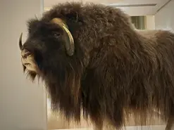 RDV sciences : humains et animaux face au changement climatique