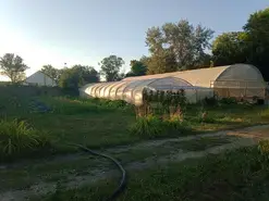 Visite du jardin de permaculture "Le Jardin de Notre-Dame" - mercredi du terroir