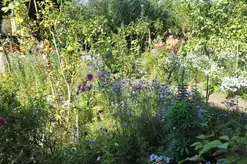 Visite-atelier : Jardinez la ville !