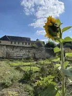 L'intelligence du végétal au service du vivant