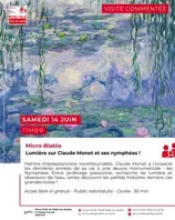 Micro-Blabla :  Claude Monet et ses nymphéas !