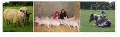 Mercredi du terroir : Visite de la ferme pédagogique "La Cerclerie"