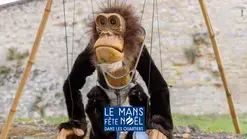 Les Singes - Compagnie Bitonio