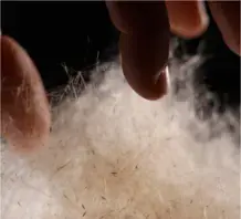 Visite-atelier en famille : à la découverte des matériaux