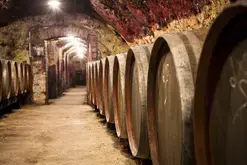Vignoble et cave : visite guidée par un.e vigneron.ne alliant la nature et technique : Balade dans les vignes de la Vallée du Loir, visite du domaine, du chai e