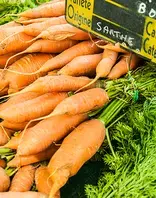 PAT : Visite de la ferme Les Jardins du Maine