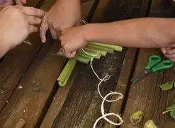 Atelier famille "Musique nature : composez avec la nature"