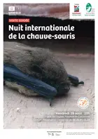 Visite "Nuit internationale de la chauve-souris"