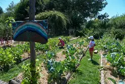 Fête du Jardin