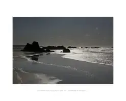 Exposition de Geoffroy d'Aillières - "Terre et Mer, des merveilles à contempler"