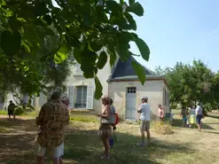MONUMENT DU MOIS