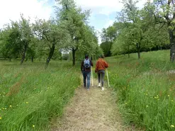 RandoNature au pays de Gaultier