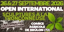 Le Comice Agricole de Brûlon reçoit l'OPEN INTERNATIONNAL de Sculptures à la Tronçonneuse !