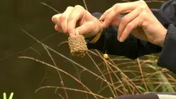 Journée pêche au feeder