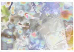 Oscillation | Exposition de photographie