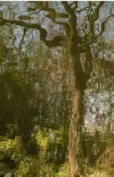 Exposition photographique d'Irene Doria - Impressions contemporaines