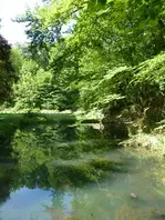 Balade famille "Forêt sensorielle"