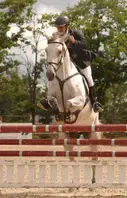 PÔLE EUROPÉEN DU CHEVAL