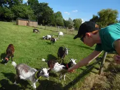 BALADE de la ferme en patois
