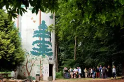 BALADE GREETERS : L'APPEL DE LA FORÊT