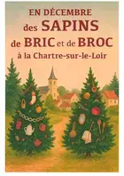 Les sapins de bric et de broc