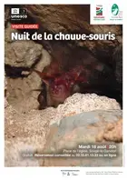 Visite "Nuit de la chauve-souris"
