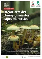 Balade nature "Découverte des champignons des Alpes Mancelles"