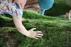 Balade famille "Forêt sensorielle"