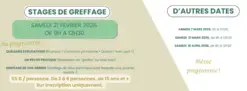 Initiation à la greffe par Pépins et Brindilles