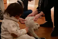 Visite guidée "le musée sensoriel"