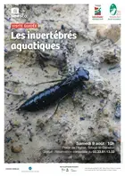 Visite guidée "Les invertébrés aquatiques"