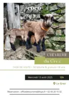 Visite de la Chèvrerie du Grez