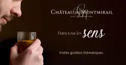 Visites guidées "Dans tous les sens" au Château de Montmirail