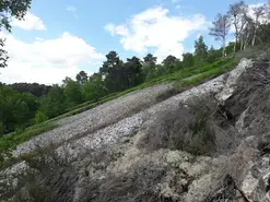 Découverte de la bio-géodiversité des Alpes Mancelles