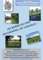 Les bors du Loir, les chemins, les vignobles...