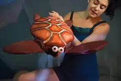 Au fond des mers : spectacle immersif sous coquillage