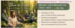 Bain de forêt  Forêt du Haut Buisson