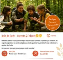 Bain de forêt  Forêt Parents Enfants