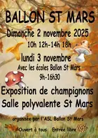 Exposition mycologique