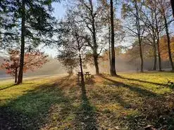 À la découverte des châtaigniers de l’Arche de la Nature