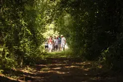 18ème Dollonnaise : rando dînatoire