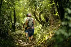 Randonnée pédestre