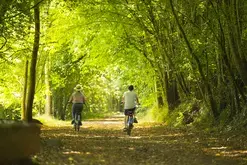 Course de vélos