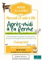 Après midi à la ferme
