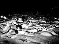 Conférence "Noirceur & Opacité dans le Black Metal"