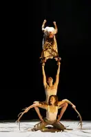 Faune | Festival Le Mans fait son Cirque