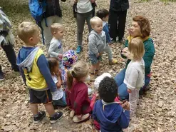 Forêt des tout petits