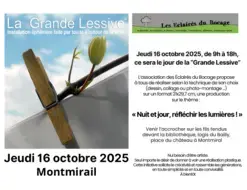 "La Grande lessive"